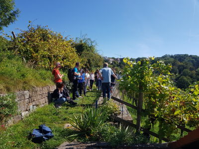 Weinwanderungen Stuttgart